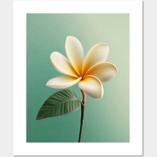 Plumeria Paradise Posters and Art